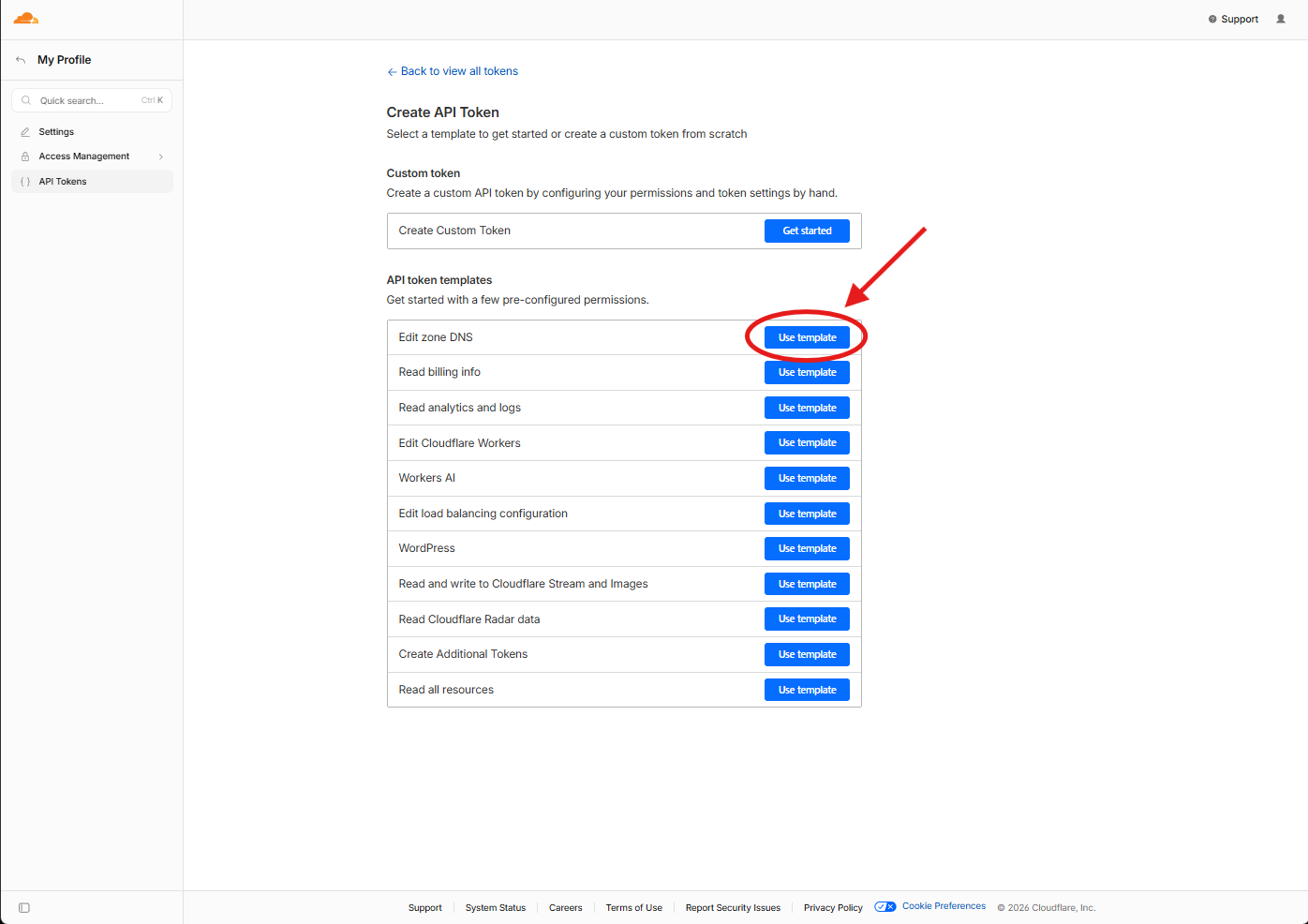 Select Edit Zone DNS Template